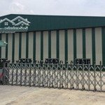 Cần cho thuê kho 3100m2, pccc tự động, trần cao 8m đường nhánh phan văn hớn, quận 12.