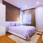 Chính chủ bán gấp căn hộ an gia sky 89 view sông 3 phòng ngủ 115m2 tầng cao 5,45 tỷ. lh 0965645556