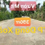 Vườn mít 350 triệu - 1000m2 ngay tp. đồng xoài ,đường betong 8m hơn 20 gốc mít