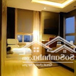 Cho thuê saigon south 2pn full nội thất cao cấp giá rẻ nhất view mát nhất