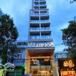 Gđ cần bán khách sạn 3 sao sophia hotel thái văn lung, q1 - hầm 10tầng 70phòng