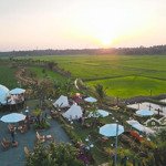 1700m2 hoà phong có 120m2 đất ở tiện xây biệt thự , glamping, nhà vườn giá 1 tỷ 8 có ao cá,view lúa