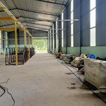 Kho xưởng cho thuê 800m2 gần vòng xoay tân hiệp, tân uyên, bình dương