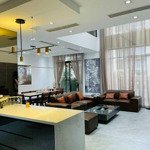 Chính chủ bán duplex tại roman plaza tố hữu, 180m2, 3 ngủ, full nội thất nhập khẩu, chỉ việc về ở