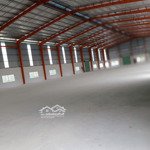 Cho Thuê Kho Xưởng Kế Bên Kcn Hạnh Phúc, Long An Diện Tích: 5.000M2 - 20.000M2