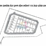 Chính chủ cần bán đất đấu giá x1 thôn hội phụ xã đông hội diện tích 96m2, ô tô tránh