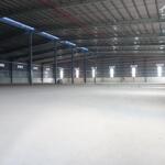 Cho thuê xưởng 2034m2-19000m2 kcn nhon trạch 2, huyện nhơn trạch, đồng nai