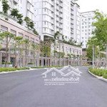 Cho thuê gấp sàn văn phòng saritown sala đại minh quang minh giá cực tốt, dtsd 200m2, giá chỉ 55tr