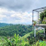 Bán đất view săn mây thuận tiện kinh doanh homestay tại đà lạt