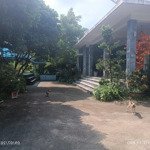 Cần bán gấp 2800m2 lâm trường, mình phú, sóc sơn. sẵn homestay khai thác dòng tiền ngay