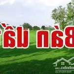 Cần bán đất thổ cư long biên hà nội long biên hà nội