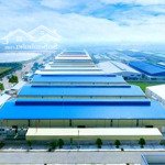 Cần bán đất nhà xưởng rộng 1,7ha trong đó có 7000m2 nhà xưởng khu bãi tasa đường nguyễn bỉnh khiêm