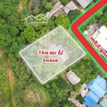 Bán 1300m có 400m thổ cư, sẵn nhà sàn, nhiều cây ăn trái chỉ hơn 600k/m tại đà bắc, hoà bình