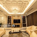 Cho thuê căn hộ 3 ngủ full đồ diện tích 120m2 có sân vườn ở chung cư hoàng cầu sky line giá cực tốt