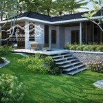 Bán nhà trung tâm khu bàn cờ xã liên hiệp, dt 6x50 cn 300m2, full nội thất cao cấp giá 2.8 tỷ