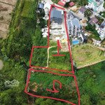 đất view đồi thông tặng cơ sở kinh doanh cách hồ xuân hương 3,5km 5008m2, 45 tỷ