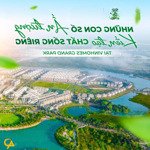 Bán căn hộ vhgp - tặng học bổng vinschool