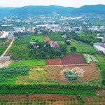 đất thổ cư xã mê linh. cách đt 725 chỉ 100m. view đồi thông, suối cam ly. shr-sẵn thổ cư-giá 1.1 tỷ