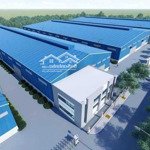 Cho thuê 2400m2, 3900m2 xưởng mới vĩnh tân tân uyên bình dương