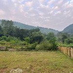 Chính chủ f0 gửi bán 1400m2 view cao thoáng, đẹp, rẻ tại xã cư yên, huyện lương sơn, hòa bình