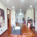 Cần bán 216 m2 lô góc vườn hoa cực đẹp vinhomes imperia thượng lý, hồng bàng, hải phòng