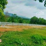 đất nghỉ dưỡng view cánh đồng xung quanh là quần thể home stay tại vân hoà, ba vì