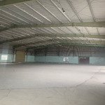 Cho thuê kho xưởng 2.600m2 bình chánh. pccc nghiệm thu, đường xe cont 40f 24/24