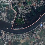 5 mẫu = 50 công = 50.000m2 lúa nhơn thạnh trung, tân an, long an