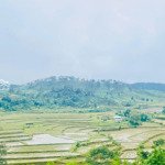 đất view đẹp măng đen phù hợp mở homestay