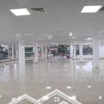 Cho thuê mặt bằng kd phố hàm nghi 450m mt 30m giá 9,5$/m2 phù hợp mọi mô hình kd lh: 0347419791