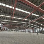 Cho thuê xưởng 11.000m2 trong khu công nghiệp bàu bàng, bình dương.