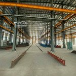 Cho thuê xưởng 15.000m2 tại long thành, đồng nai