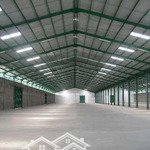 Cho thuê kho xưởng 10.000m2 trong kcn nhơn trạch, đồng nai