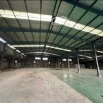 Cho thuê kho xưởng 3.000m2 bình chánh, pccc nghiệm thu, đường xe cont 40f.