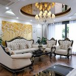 Gia đình bán căn sân vườn 4 ngủ 290m2, chung cư tsq mỗ lao. full nội thất cao cấp, sẵn sổ