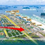 Biệt thự biển 300m sẵn sổ từng lô phương đông vân đồn