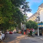 Bán gấp căn shophouse mặt phố - 5 tầng, lô 2 thoáng, ô tô đỗ cửa kđt vp - quang trung, hà đông