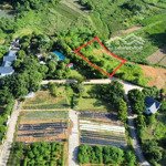 1200 m2 nghỉ dưỡng bám đồng sát khu biệt thự mariland garden yên bài, ba vì