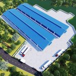 Cho Thuê Nhà Xưởng Mới Xây Dựng Diện Tích 3.600M2 - 7.350M2 Ở Phước Hòa, Phú Giáo, Bình Dương