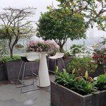 Bán căn penthouse có sân vườn chung cư yên hòa park view, 286m2, 4 phòng ngủ 4 vệ sinh bán nhanh 80 triệu/m2