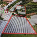 8.800m2 đất mimosa p10 đà lạt - đường ô tô 6 mét - view thung lũng xanh vĩnh viễn không bị che chắn