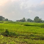 Cần sanh nhượng lô đất đà bắc hoà bình view cánh đồng, vị trí lý tưởng để làm nghỉ dưỡng đầu tư...