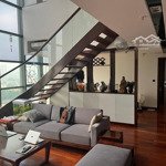 Căn duy nhất! bán căn hộ penthouse duplex thông tầng chung cư vp4 bán đảo linh đàm