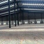 Cho thuê xưởng 15.000 m2 giá 65 nghìn đ / m2 khu công nghiệp hoàng gia mỹ hạnh nam đức hòa long an