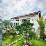 Bán villa/biệt thự view rừng thông đà lạt bao quanh xanh ngát, thiết kế sang trọng