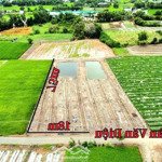 Chủ giảm giá bán nhanh 1276m2 (276m2 thổ + 1000m2 lúa), mặt tiền đường xe hơi, shr, giá rẻ