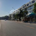 Chính chủ bán biệt thự vỹ yến riverside, long biên, hà nội. dt125m2. lô góc. view sông hồng