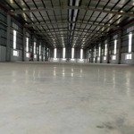 Cho thuê kho nhà xưởng kcn đức hòa, long an đất: 3.000m2, xây dựng: 2.000m2, pccc tự động