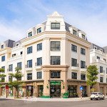 Bán shophouse và liền kề tại dự án vinhome golden avenue móng cái