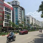 Bán tòa văn phòng mặt ngõ trần thái tông 125m2, mt 11m, nhà 9 tầng, lô góc, kinh doanh đỉnh